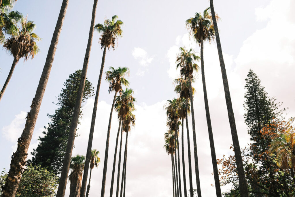 things to do in palermo