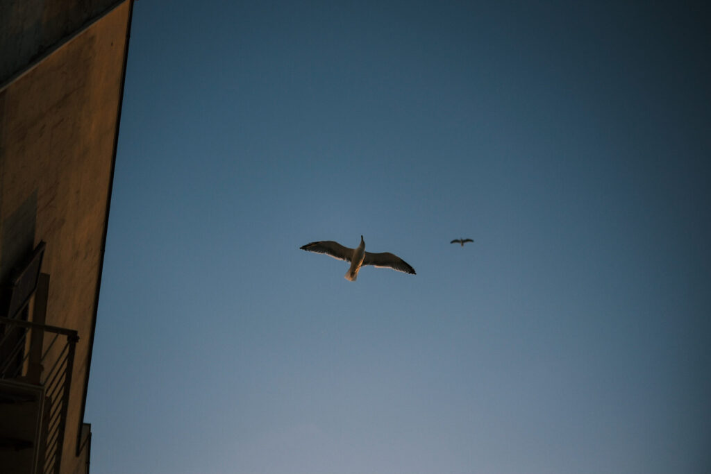 street photography in trapani