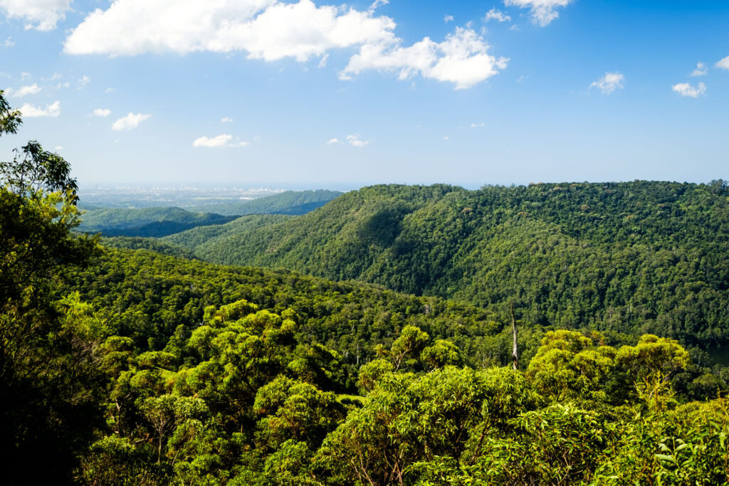 things to do in the gold coast hinterland