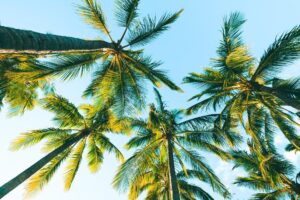 7 Great Things To Do On Magnetic Island, Queensland