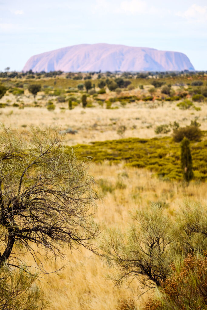 things to do at uluru