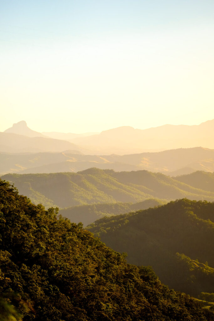 gold coast hinterland