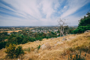 things to do in cowra new south wales australia