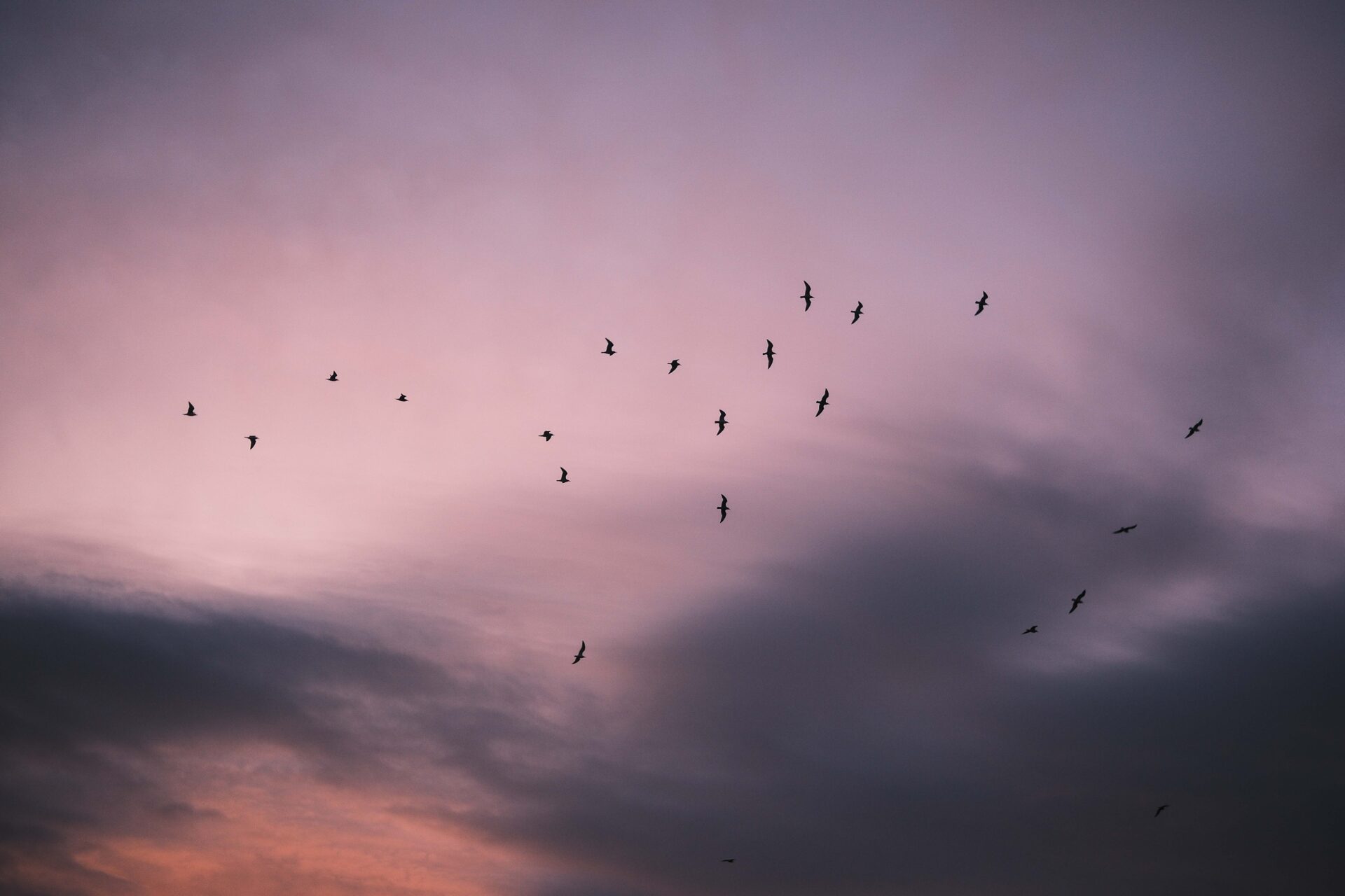 Fujifilm 35mm f/1.4: Three Cheers for Five Years