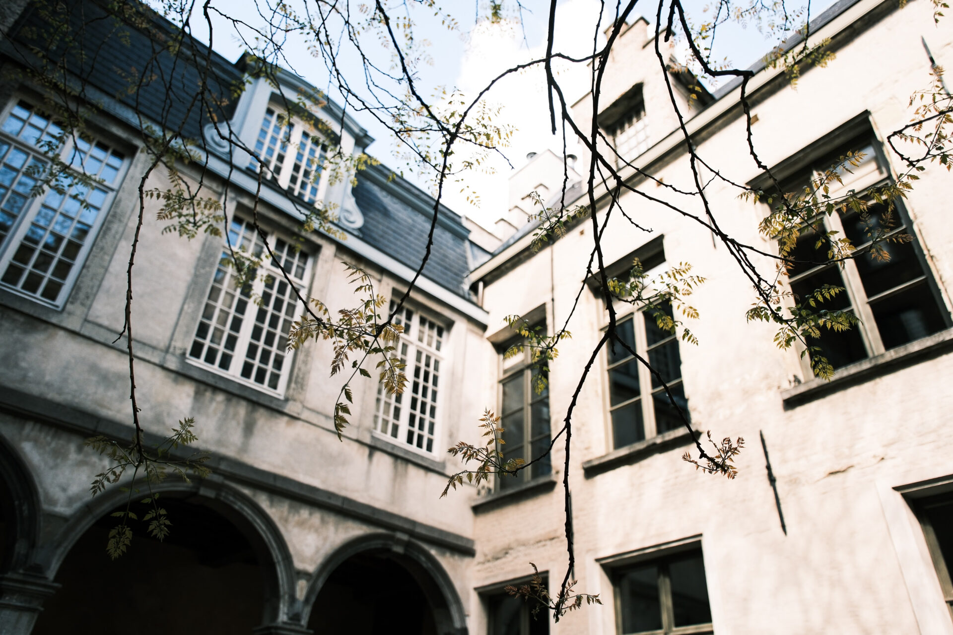 Sigma 17-40mm f/1.8 For Fujifilm: A Real World Review