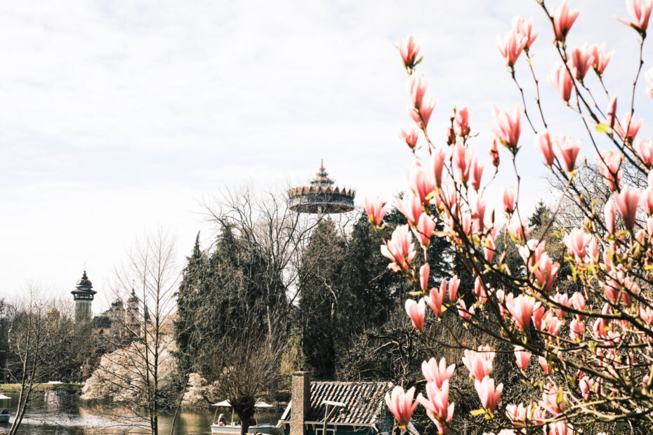 Efteling in Photos