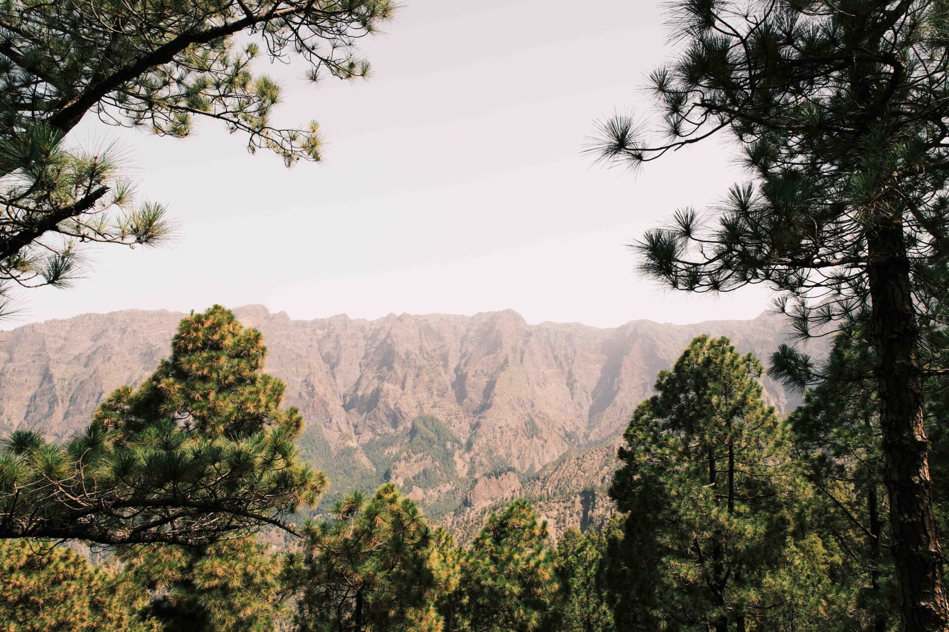 things to do in la palma